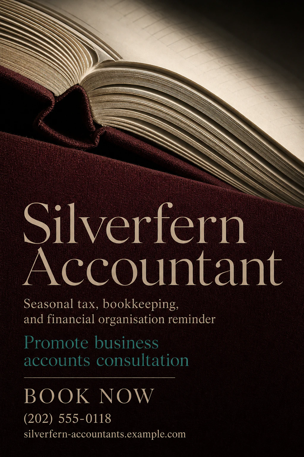 accountant flyer template: promote business accounts consultation