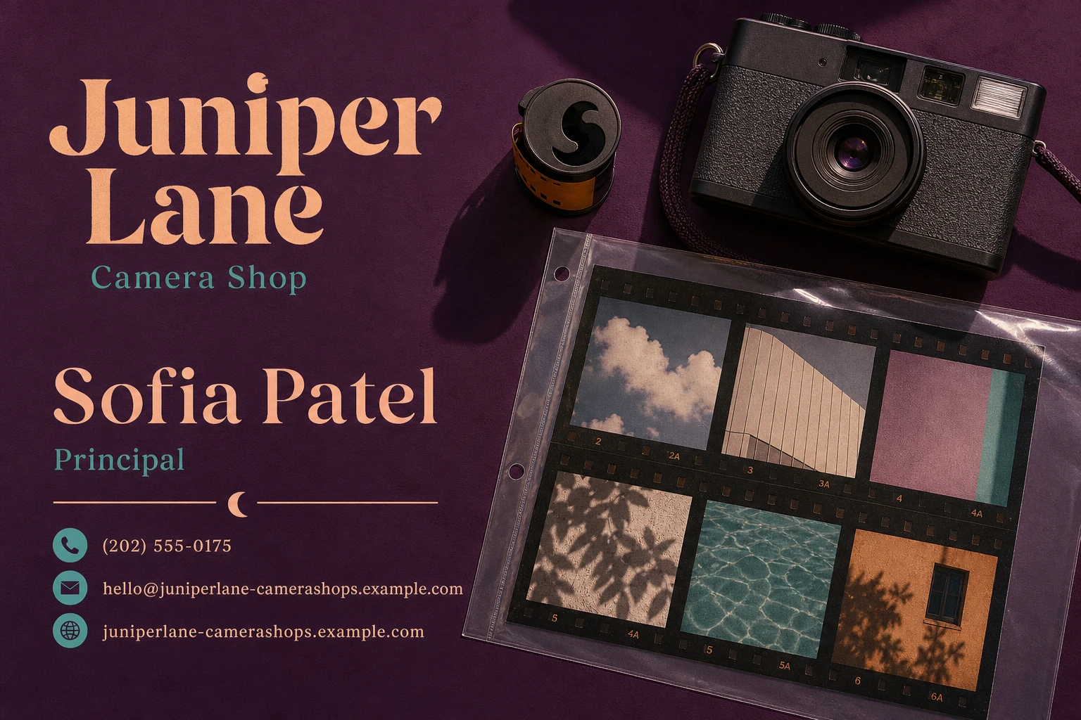camera shop business card template: promote camera setup consultation